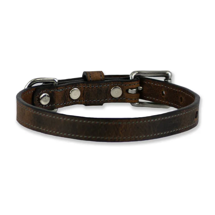 hanks-belts-quality-dog-collar-ollie-brown
